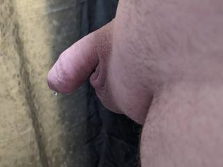 Some morning shower pics