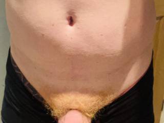 Just popped out to say hello