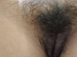 my lips slightly trimmed , with bush on top