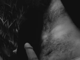 Hard dick