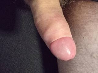 Just my cock getting hard after looking at zoig
