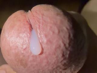 One horny day