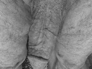 Erotic Art Cock Photo