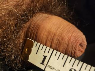 My nearly 2 inch penis is always the smallest cock in the mens showers or changeroom evrytime. Most other dicks are bigger by alot, i like being smaller than everyone else though.