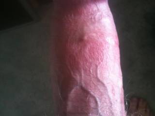 just busting for a pussy