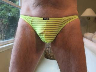 As long as Mr. F stays flaccid, his new yellow undies fit just fine.  But when he gets hard.... From Mrs. Floridaman