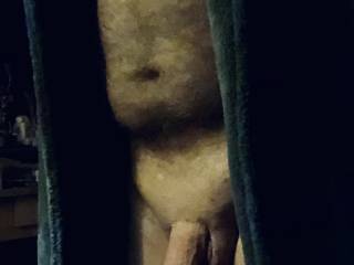 Cock on display, almost like an oil painting.