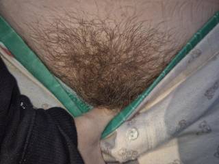A quick flash of her hairy bush