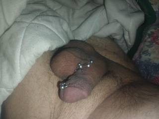 my peirced cock