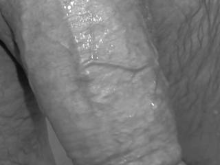Wet Dick