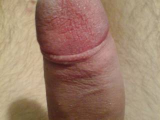 dick