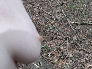 Walking in the woods topless