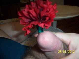 stop and smell the roses