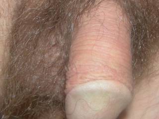 A drop of water upon my dicks tip.