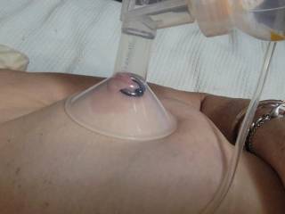 Using the udders pump