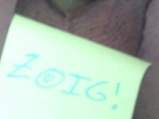 Zoig!