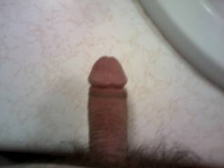 anyone want to suck or fuck this?