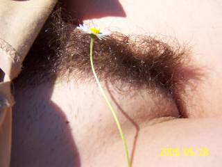 pussy