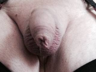 Just feeling extremely horny while wife is at work,