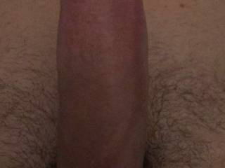 Any zoig ladies want to try mr B’s Cock?? 🤪