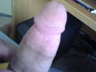 Whatcha think?