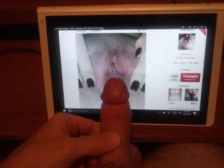 Taking tribute requests. Sexyfunchic come make my cock bigger and harder.  Tribute to sexyfunchic