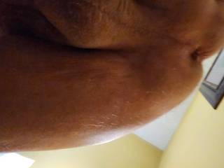 Between the ants and scrotum.
