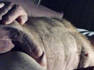 Early morning swollen cock.