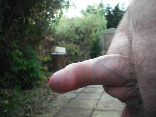 My al fresco prick photo'd by my friends in their secluded garden
