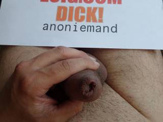 Dickpic 5, for the interested ladies