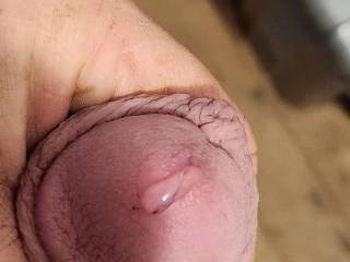 Dripping pre cum