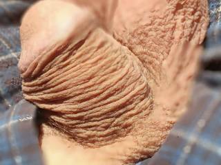 Laying out in the sun feels so good 👍