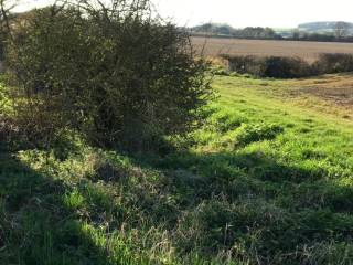 Hiding near a hedge, with tits out ready, to surprise the guest