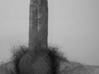 Straight Dick, Big Balls, Hairy And... So Vintage In Black & White!