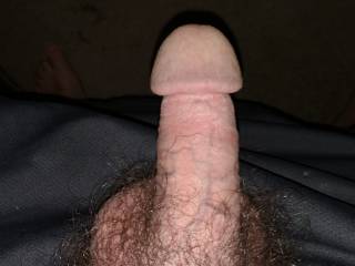 Just wondering what others think??