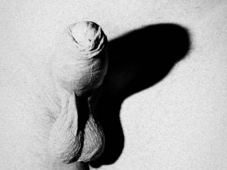 penis