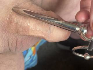 Getting ready to insert my new penis plug.
