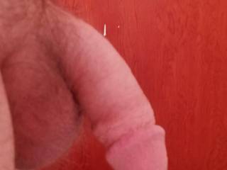 Feeling horny before my shower, do you like my soft cock tell me what you think in the comments