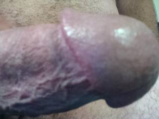 cock