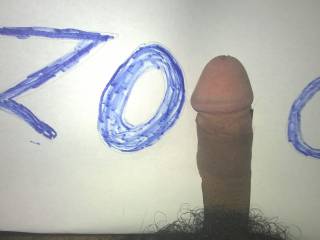 zoig