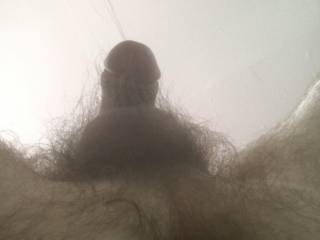 Birds eye view of my hairy nest