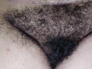 latina hairy pussy love to eat it all the time