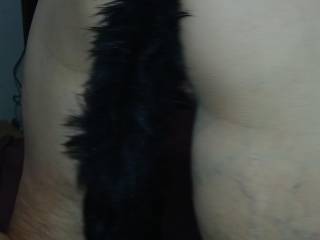 My butt plug tail