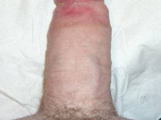 Michigan dick here!  Any ladies wanna play?