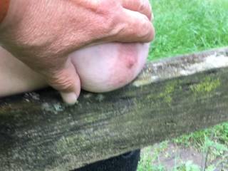 3 of 3 - a gentleman helps. Adjusting a big tit on top of a wooden fence