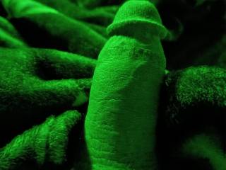 Just chilling when I decided to take some pictures of my softy using a new light I\'ve got. What do y\'all think?
