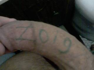 representing ZG