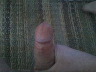 cock