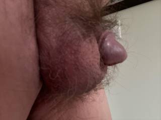 From the side. Hope you like my little wiener!