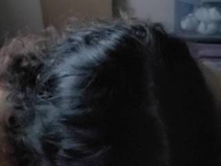 Early morning blowjob